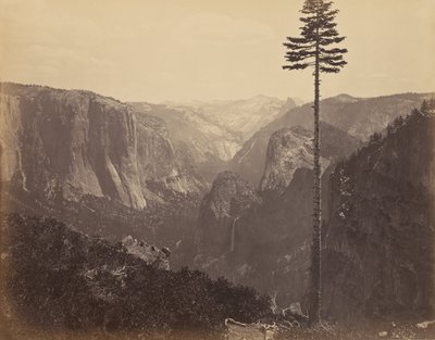 Yosemite Valley from the Best General View by Carleton E. Watkins